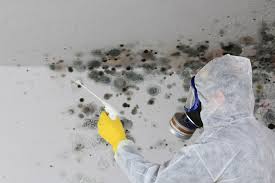 Mold Removal for HVAC Installations in Capac, MI